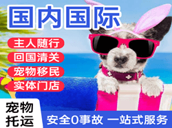 扎兰屯成吉思汗机场快递国际宠物托运 【国
